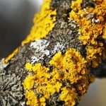 Zázračné D-čko. Ako zistiť, že nám chýba a prečo ho užívať v zime?