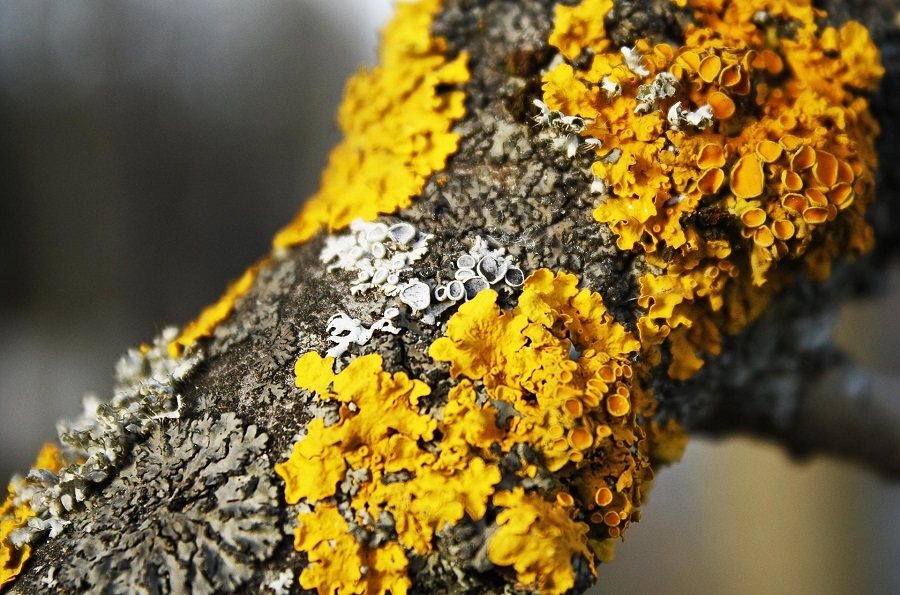 Zázračné D-čko. Ako zistiť, že nám chýba a prečo ho užívať v zime?