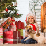 Štedrá večera pre psíka – alebo ako si pochutnať a vychutnať Vianoce bez tráviacich ťažkostí